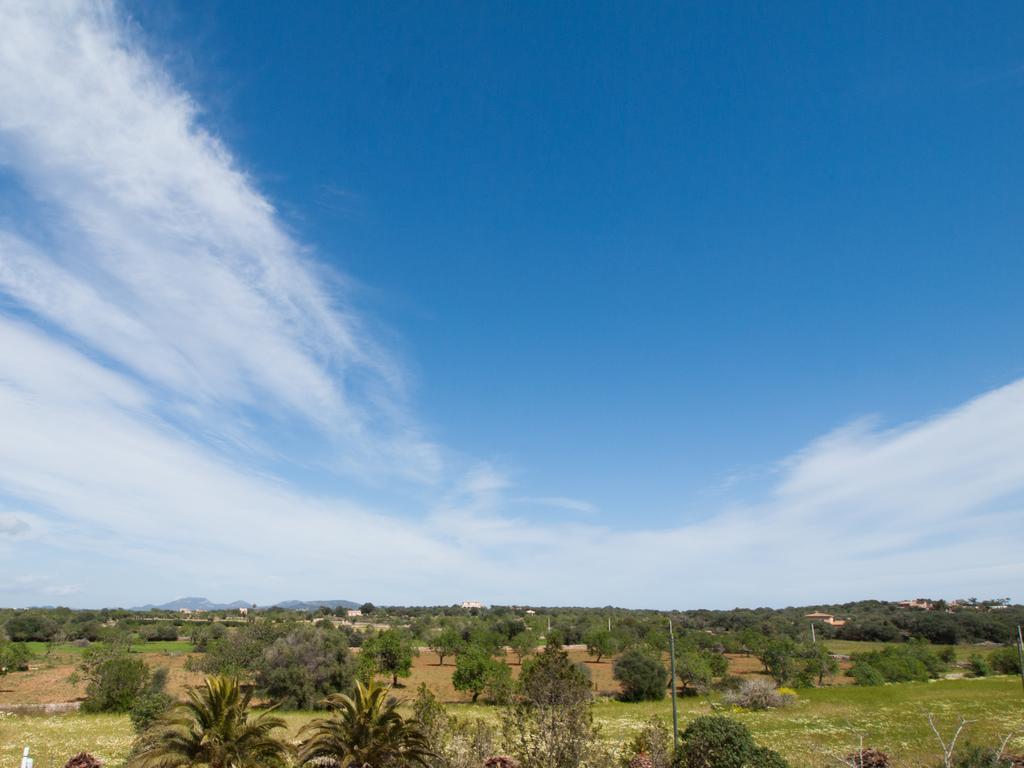 Agroturismo S Hort De Can Carrio Ag226 세스 살리네스 외부 사진